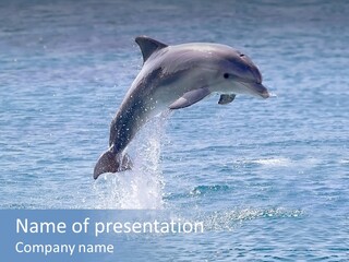 Board Group Character PowerPoint Template