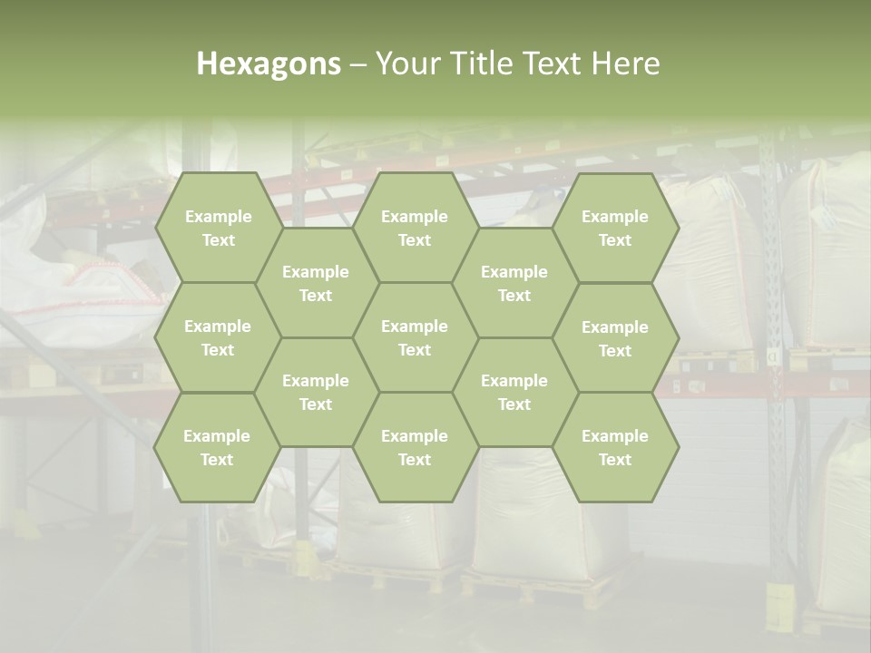 Sacks Company Inventories PowerPoint Template