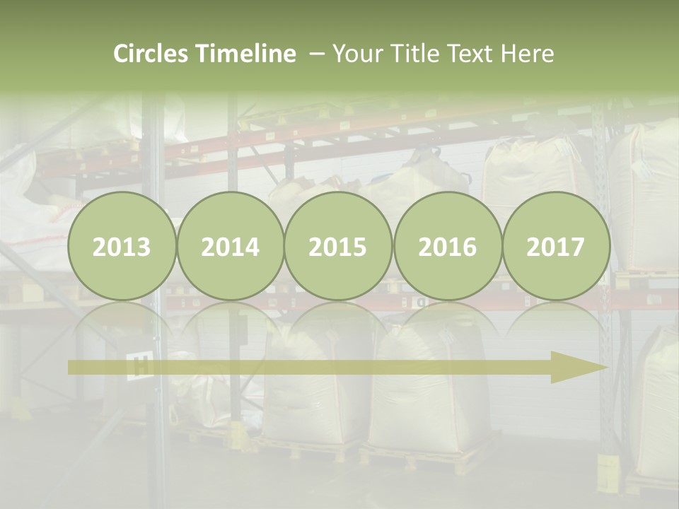 Sacks Company Inventories PowerPoint Template