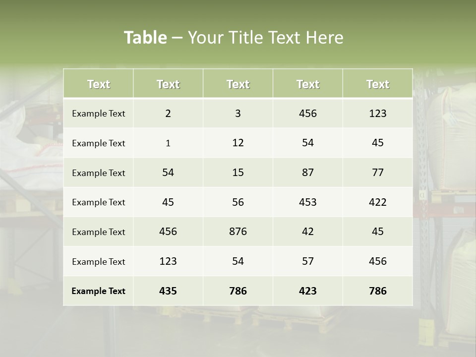 Sacks Company Inventories PowerPoint Template