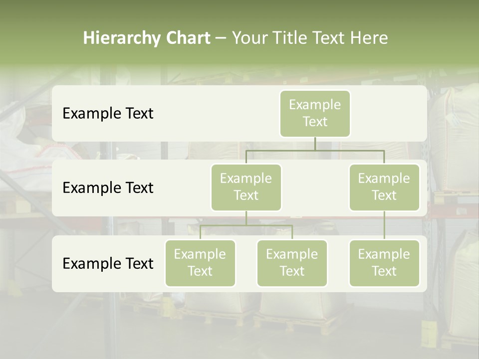 Sacks Company Inventories PowerPoint Template