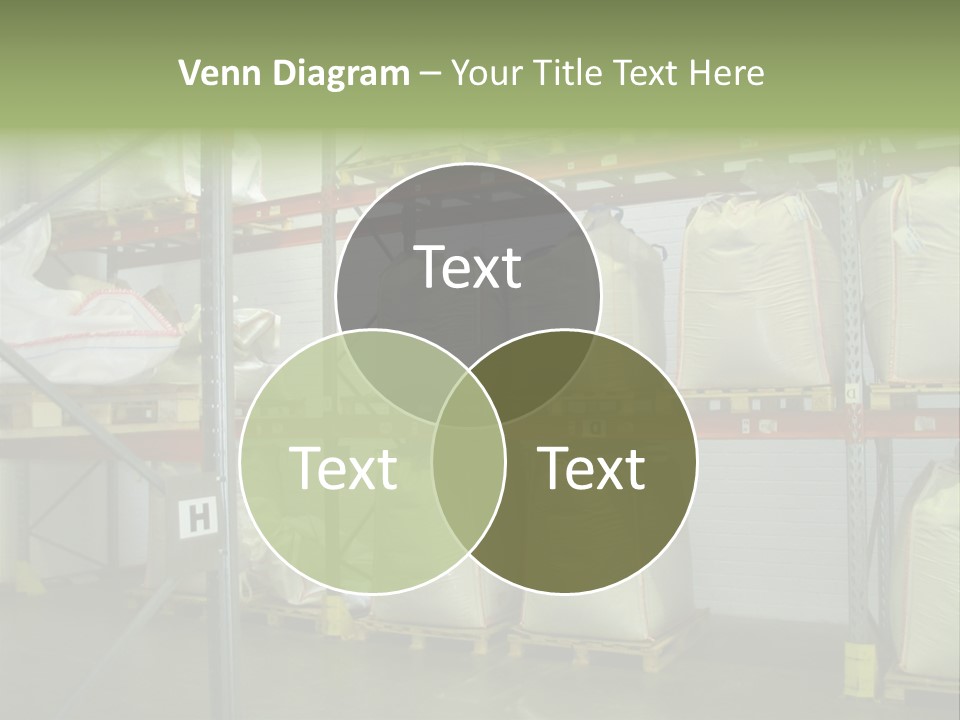 Sacks Company Inventories PowerPoint Template