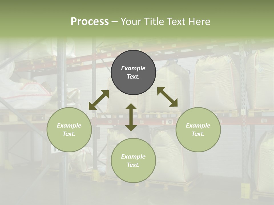 Sacks Company Inventories PowerPoint Template