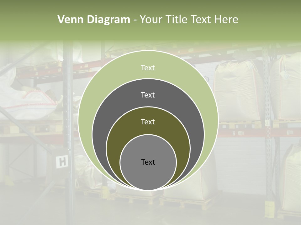 Sacks Company Inventories PowerPoint Template