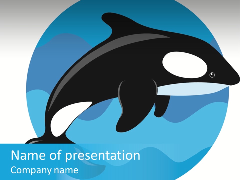 Fin Fish Swimming PowerPoint Template