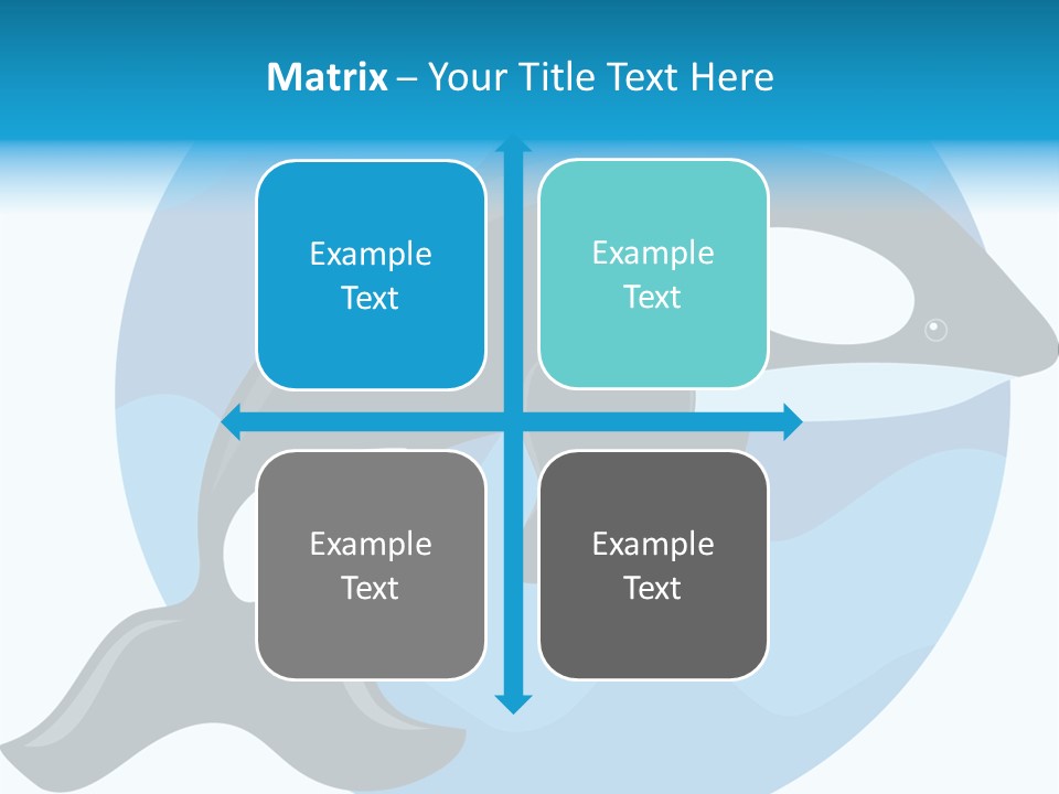 Fin Fish Swimming PowerPoint Template