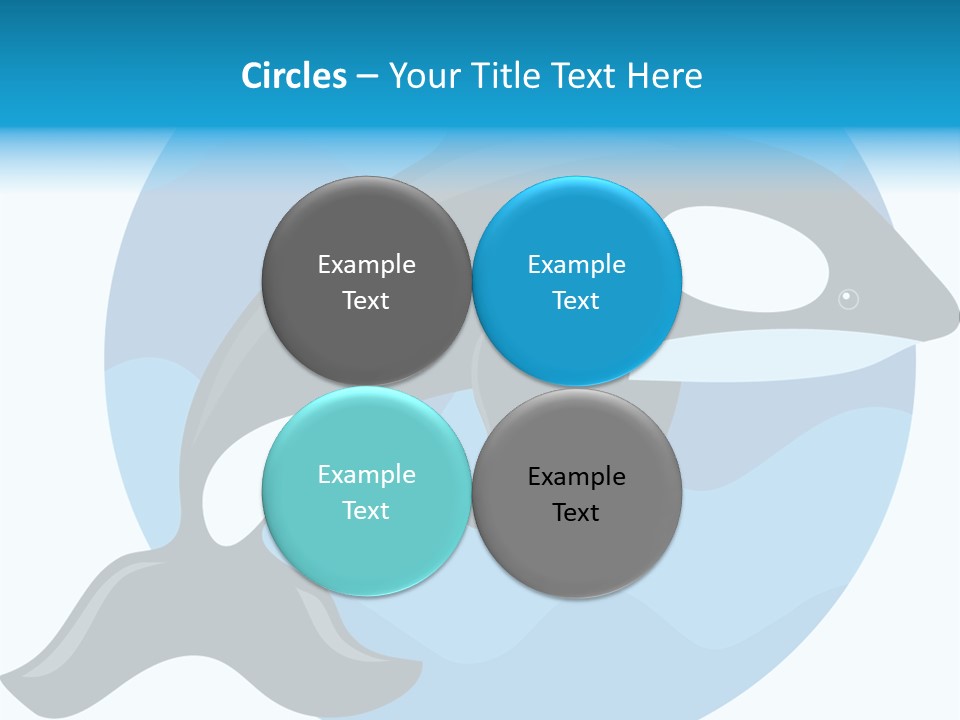 Fin Fish Swimming PowerPoint Template