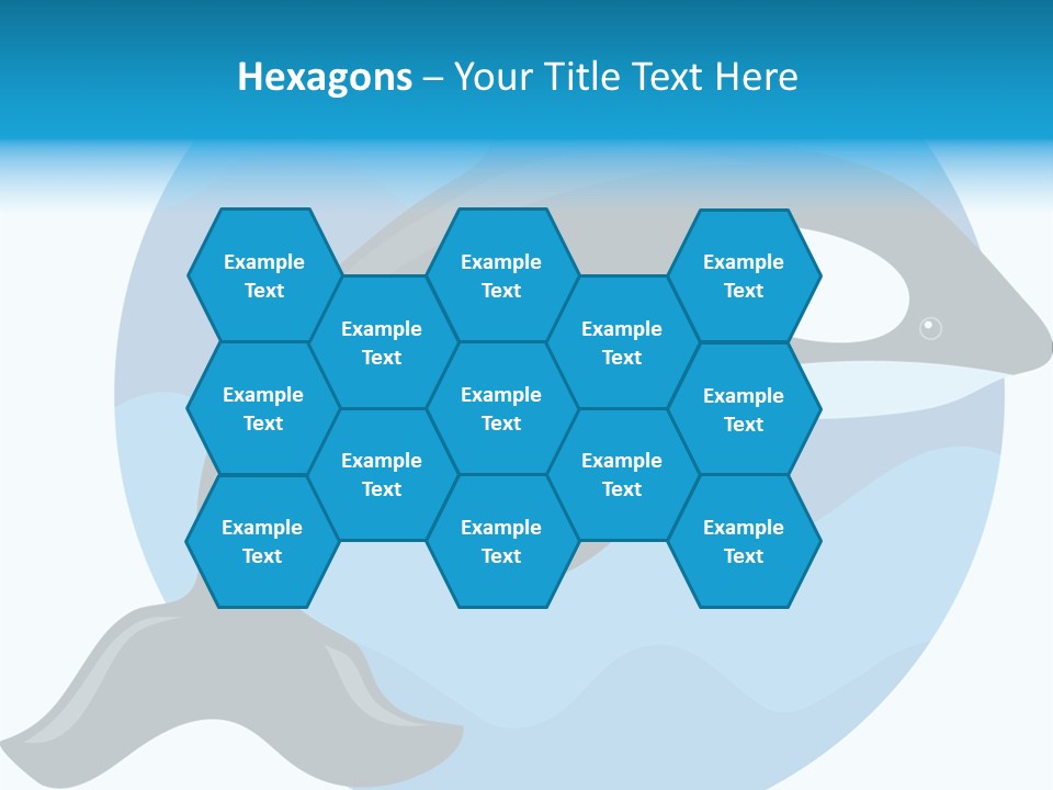 Fin Fish Swimming PowerPoint Template