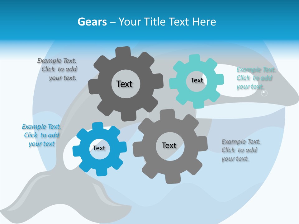 Fin Fish Swimming PowerPoint Template