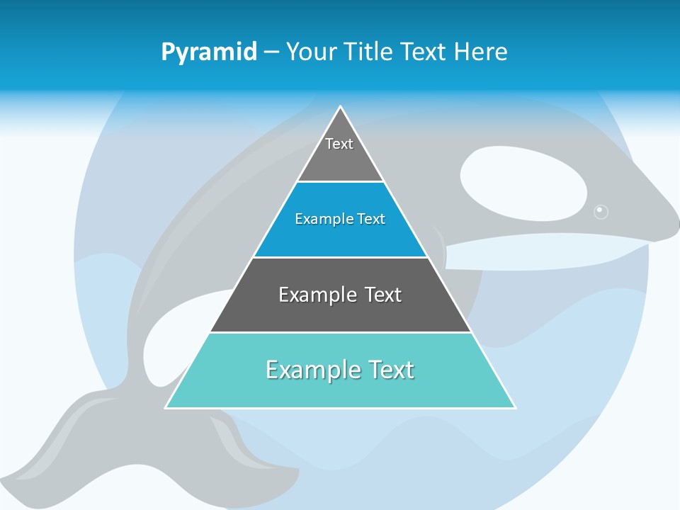 Fin Fish Swimming PowerPoint Template