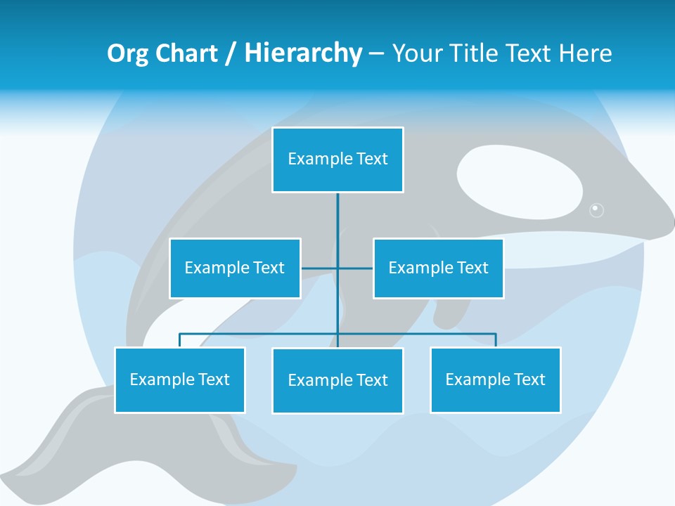 Fin Fish Swimming PowerPoint Template