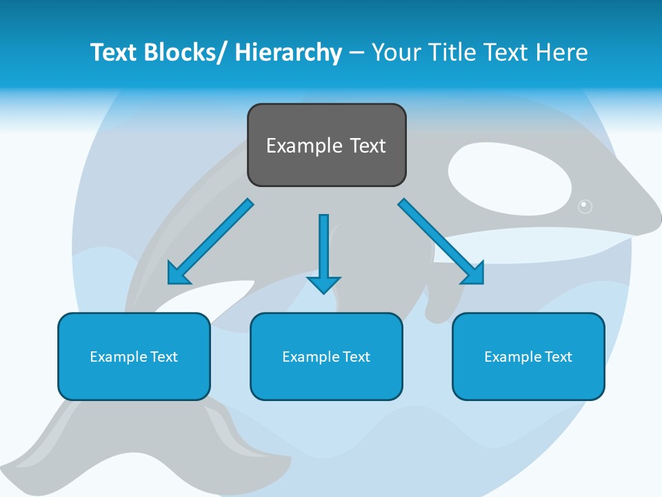 Fin Fish Swimming PowerPoint Template