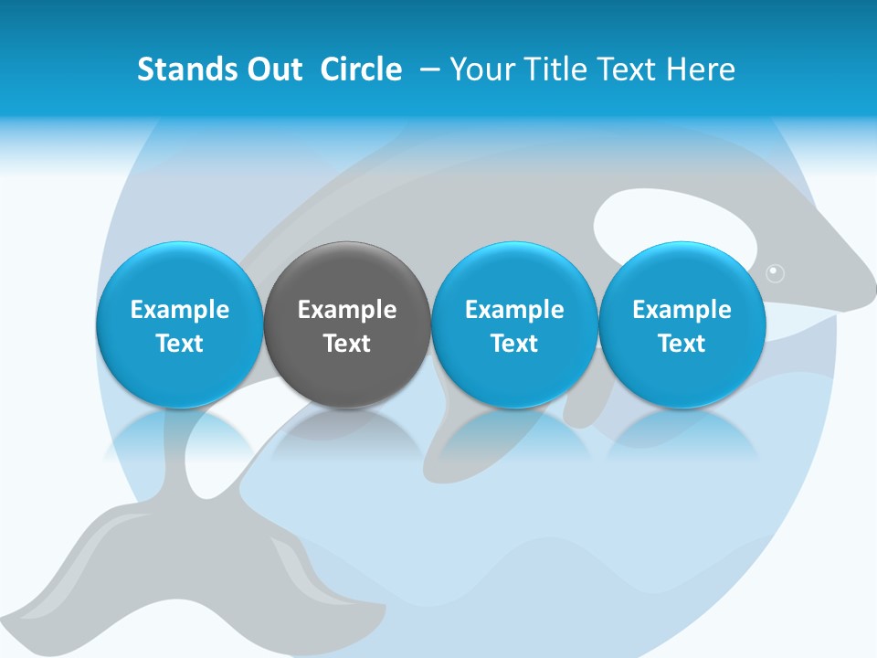 Fin Fish Swimming PowerPoint Template