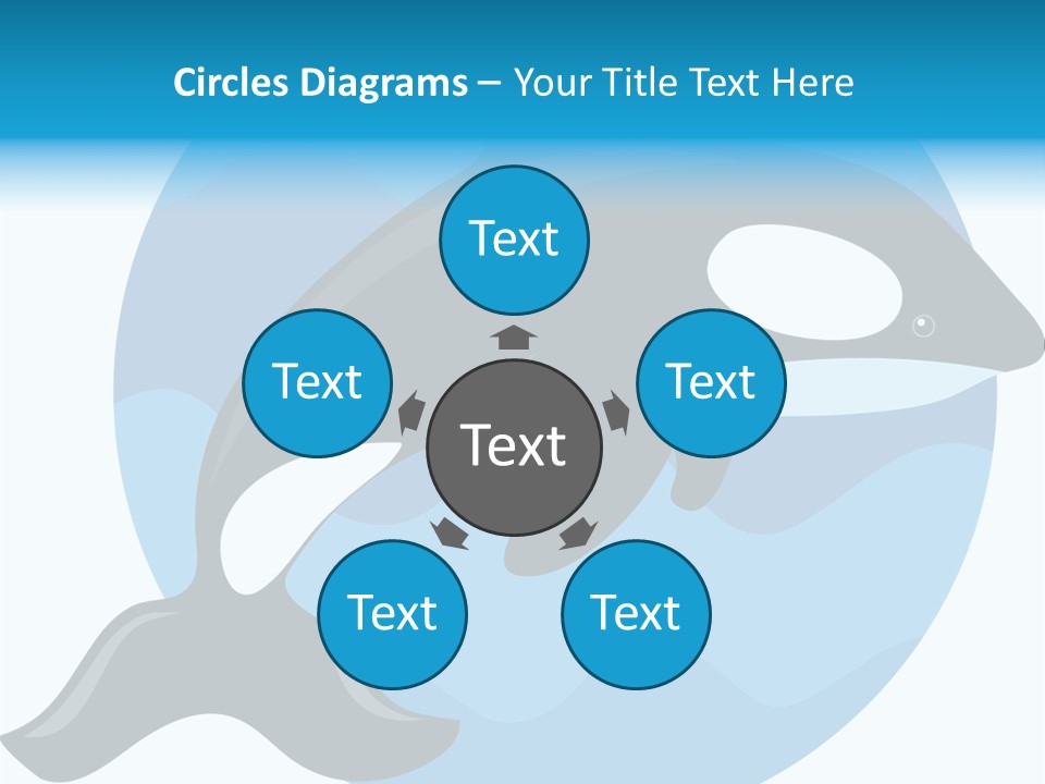 Fin Fish Swimming PowerPoint Template