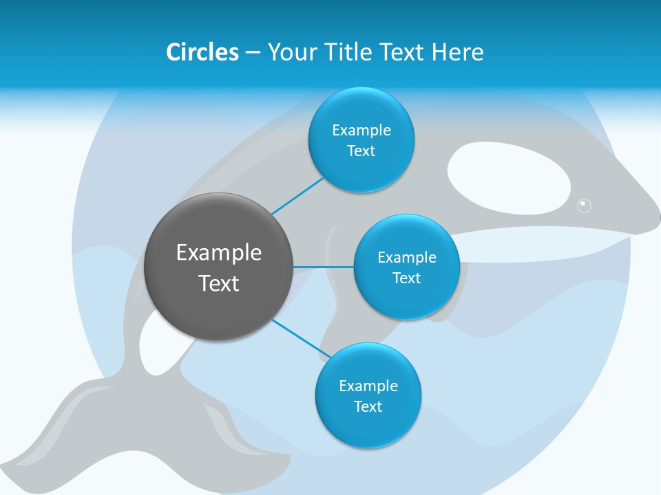 Fin Fish Swimming PowerPoint Template