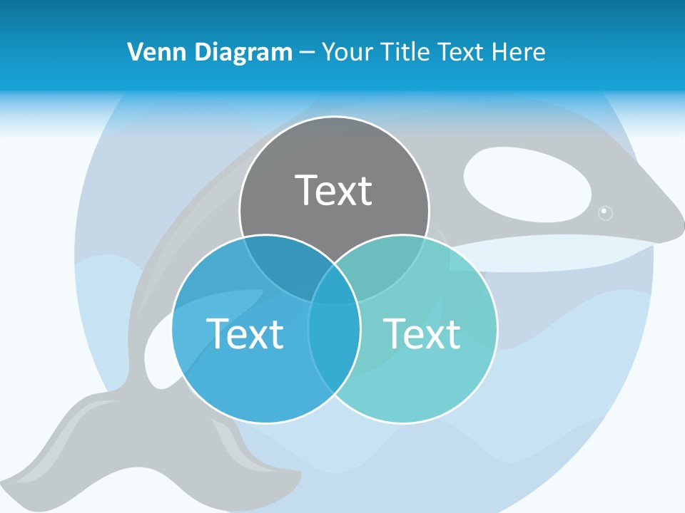 Fin Fish Swimming PowerPoint Template