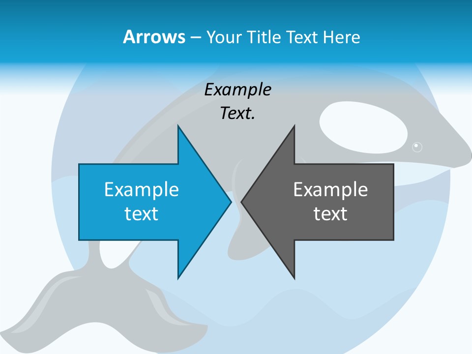 Fin Fish Swimming PowerPoint Template