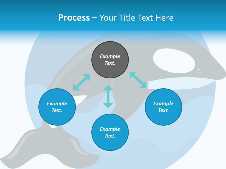 Fin Fish Swimming PowerPoint Template