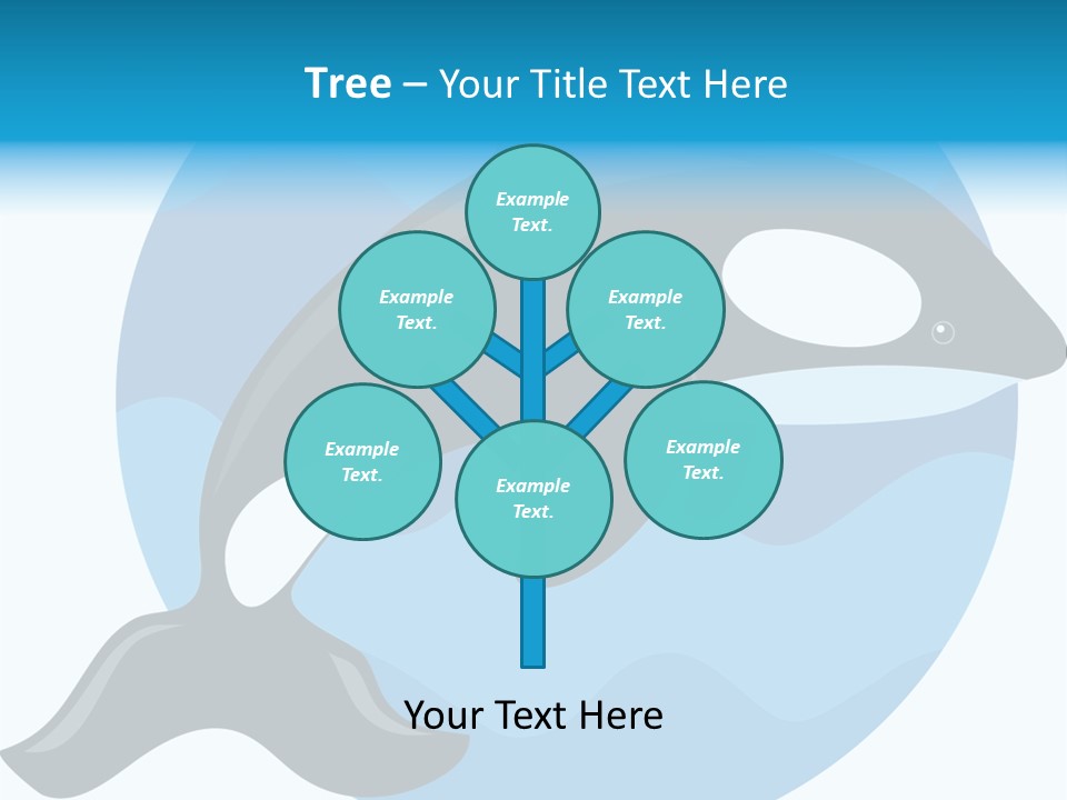 Fin Fish Swimming PowerPoint Template