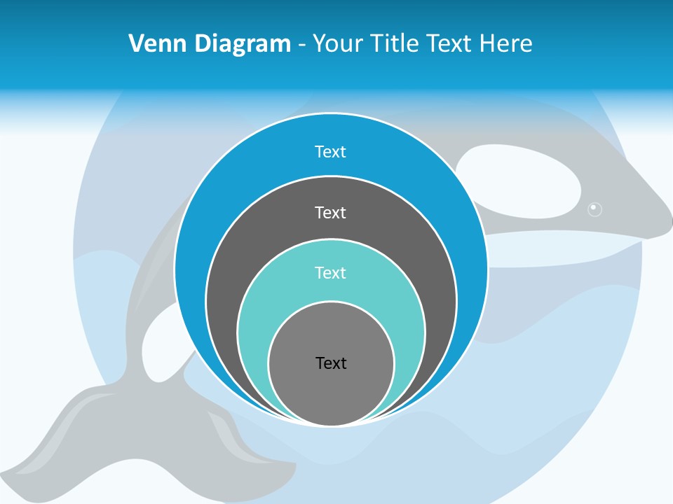 Fin Fish Swimming PowerPoint Template