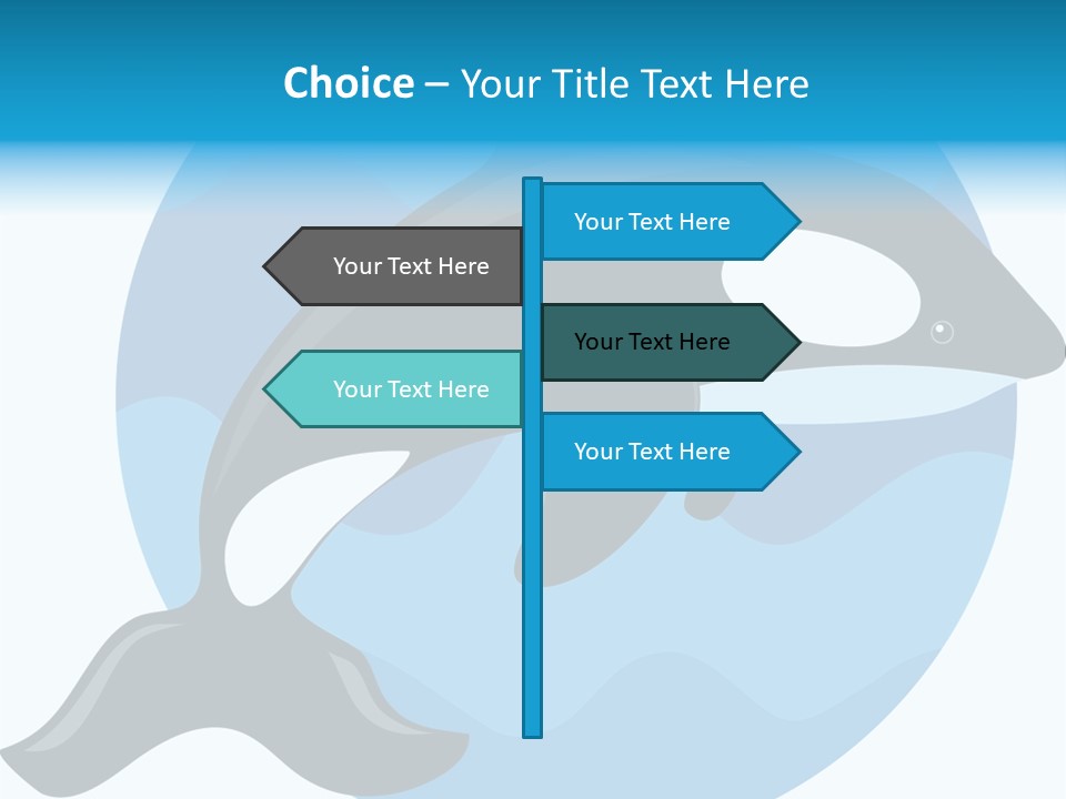 Fin Fish Swimming PowerPoint Template