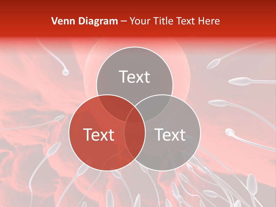 Microscope Scientific Tissue PowerPoint Template