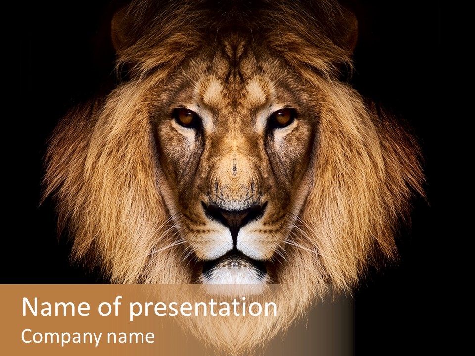 Leo Savage Warm PowerPoint Template