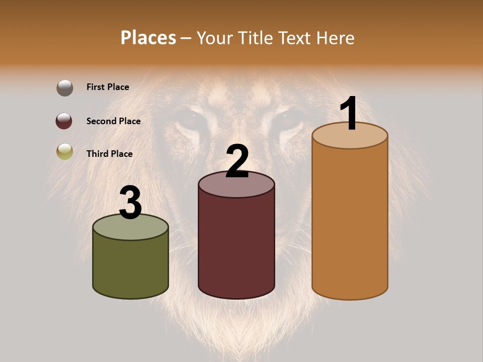 Leo Savage Warm PowerPoint Template