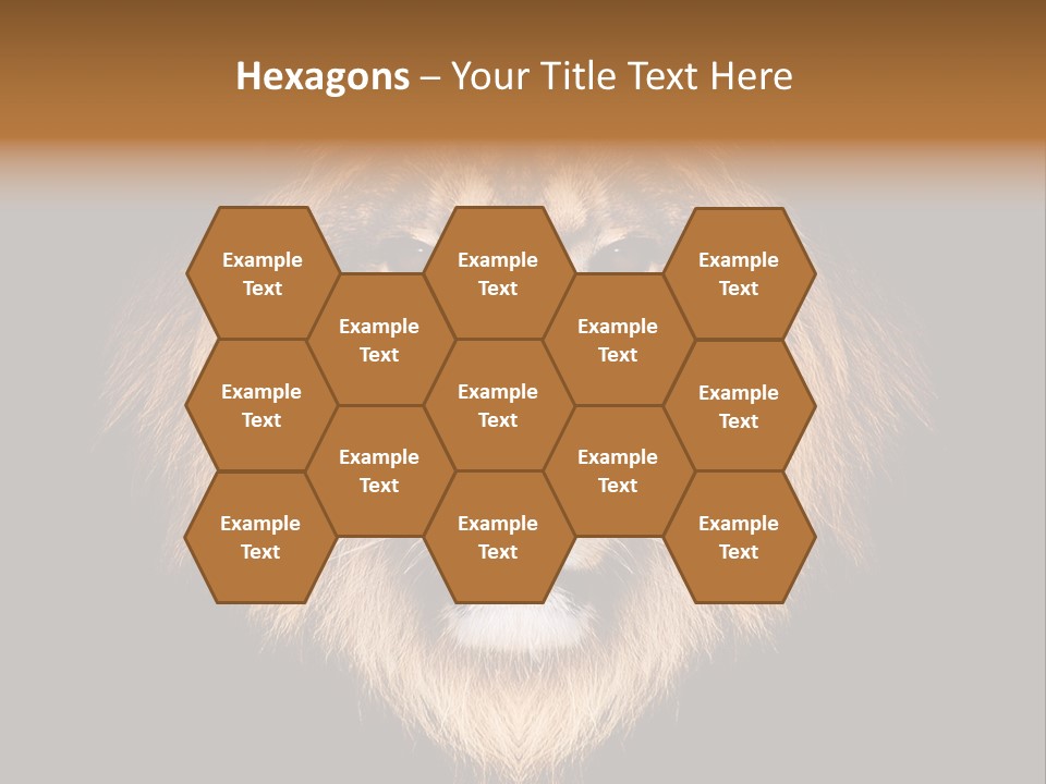 Leo Savage Warm PowerPoint Template