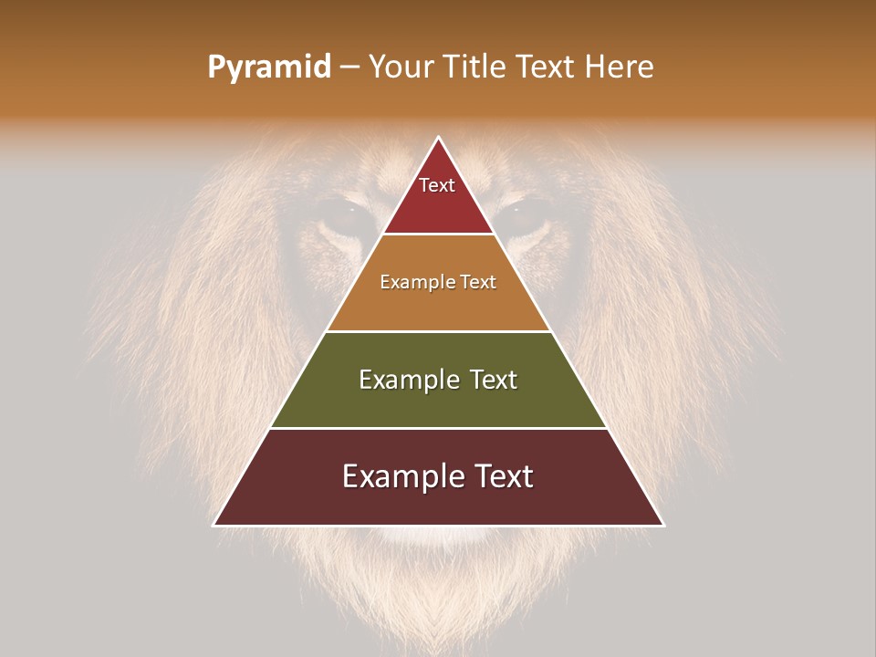 Leo Savage Warm PowerPoint Template