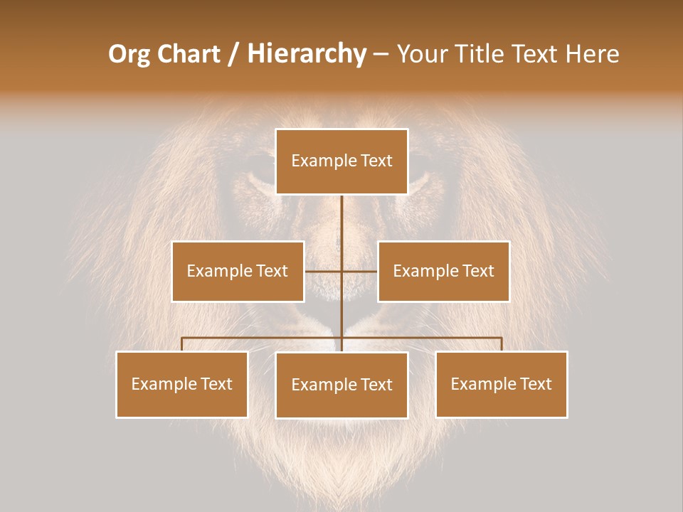 Leo Savage Warm PowerPoint Template