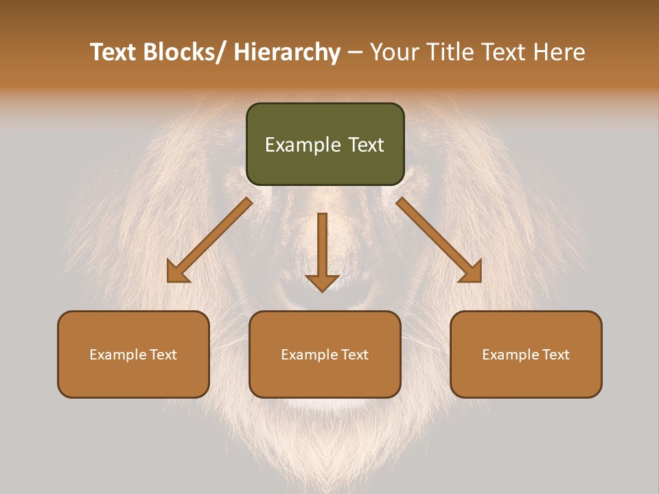 Leo Savage Warm PowerPoint Template