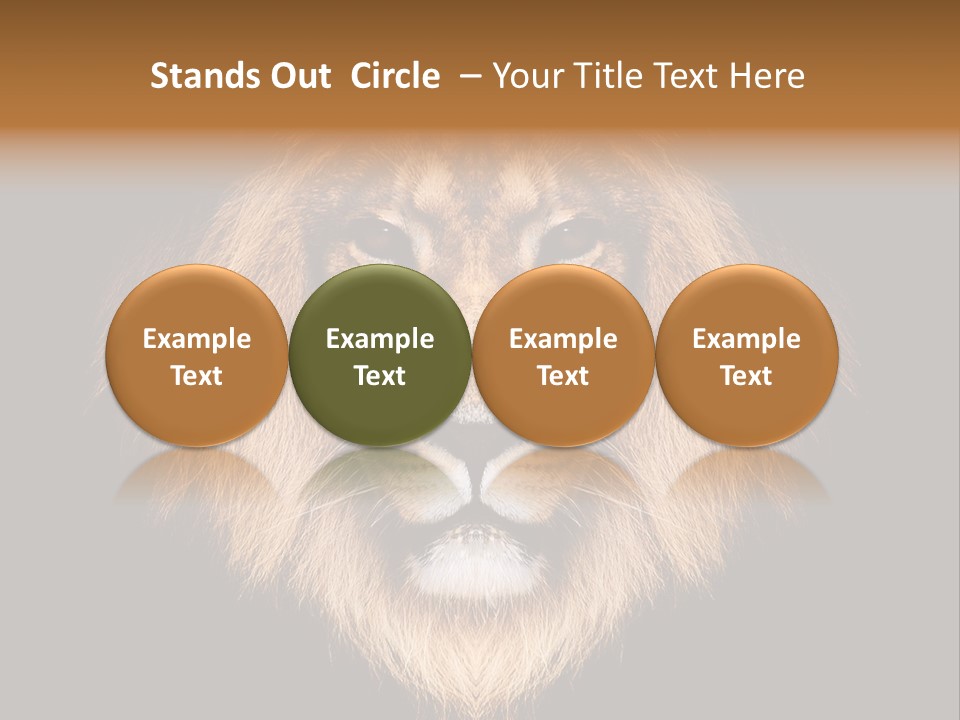 Leo Savage Warm PowerPoint Template