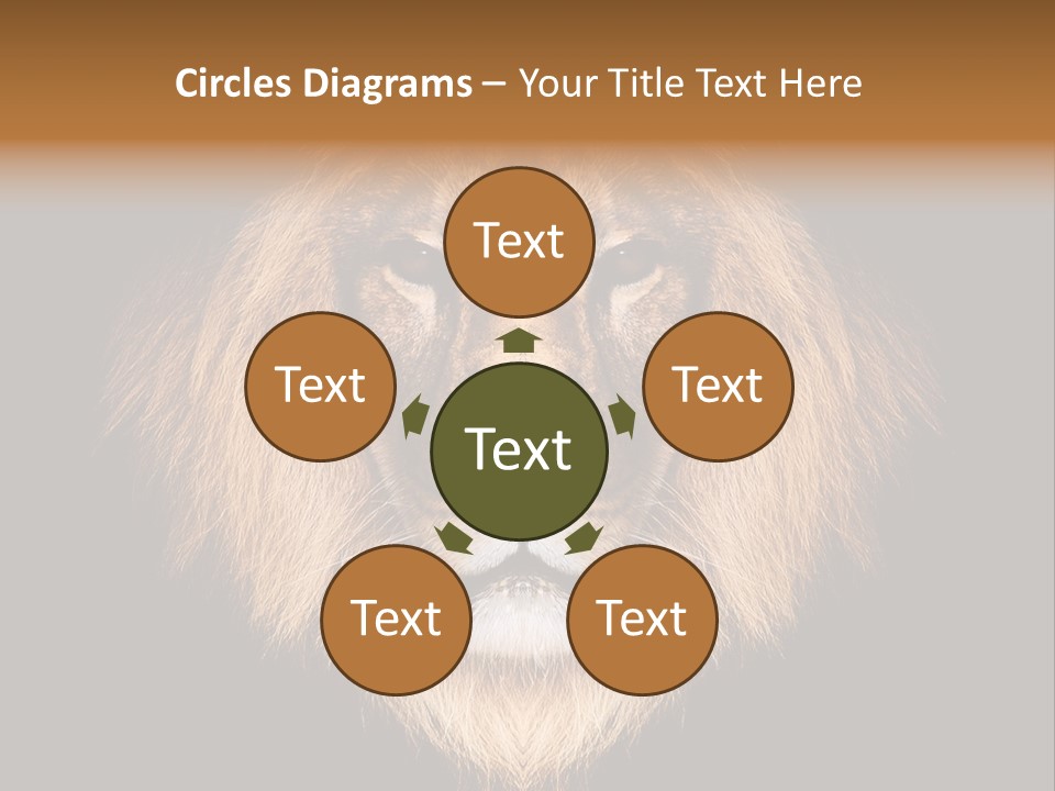 Leo Savage Warm PowerPoint Template