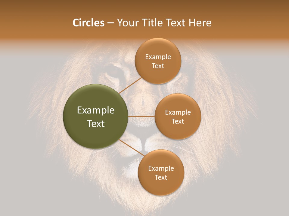 Leo Savage Warm PowerPoint Template