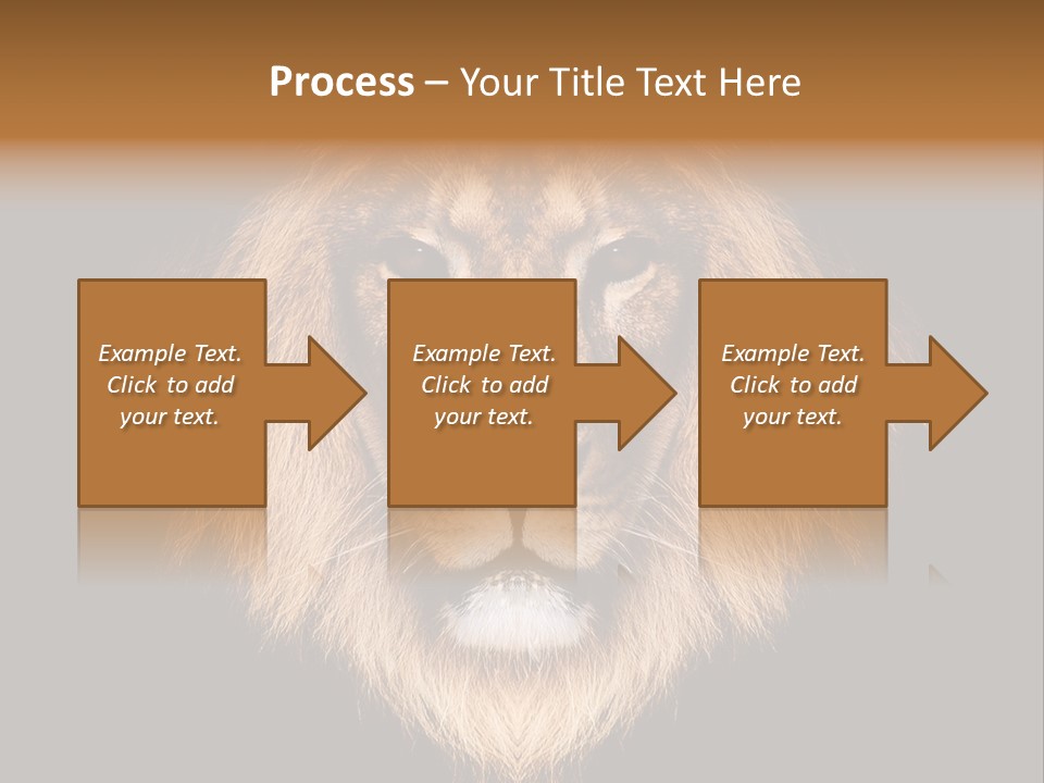 Leo Savage Warm PowerPoint Template