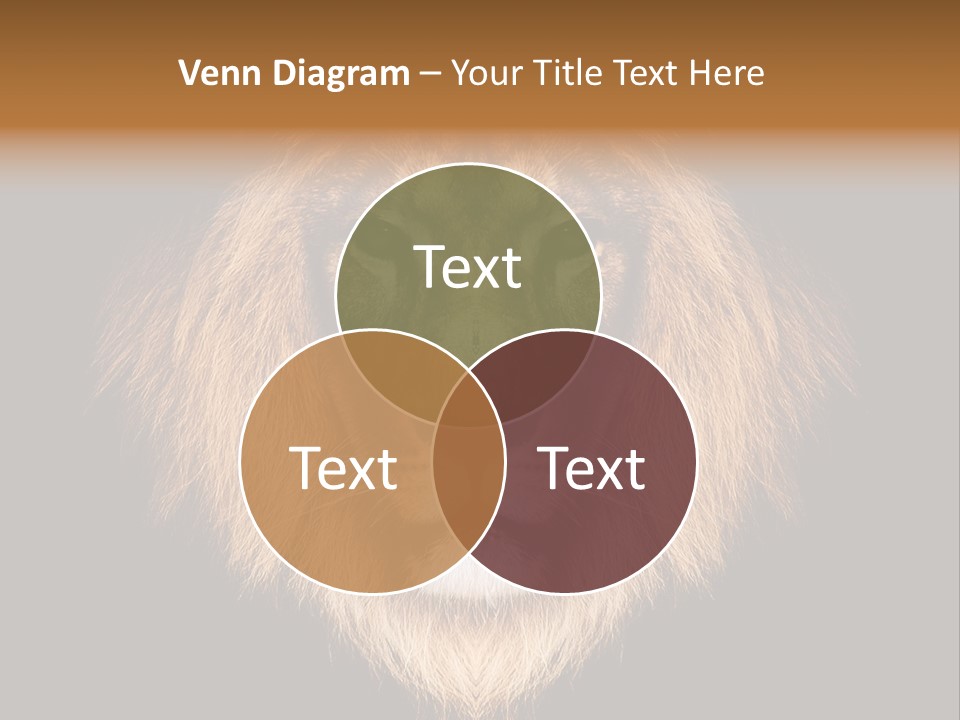 Leo Savage Warm PowerPoint Template