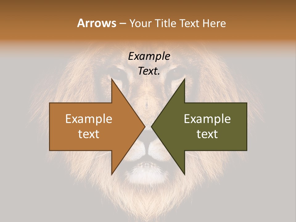 Leo Savage Warm PowerPoint Template