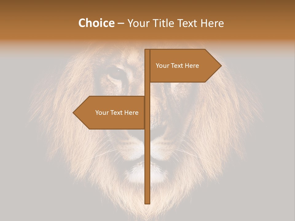 Leo Savage Warm PowerPoint Template