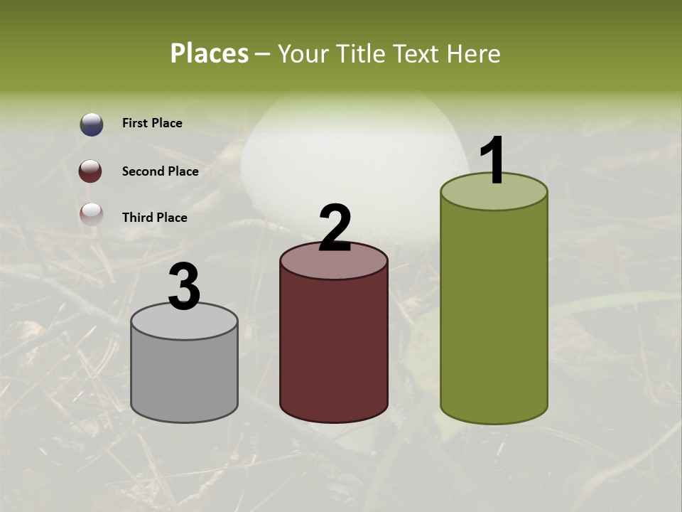 Woods Outdoors White PowerPoint Template