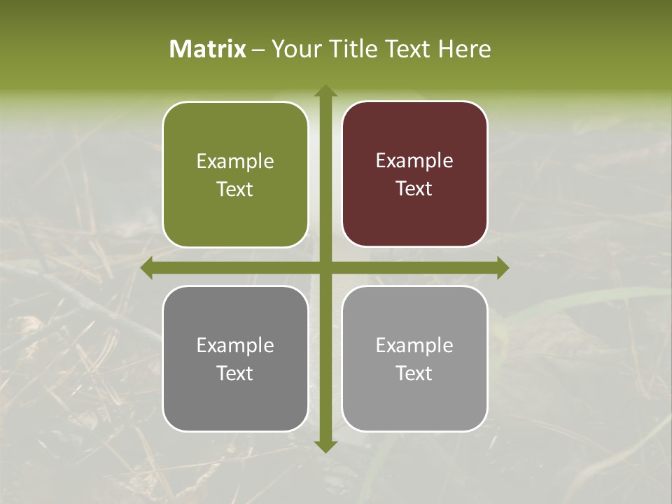 Woods Outdoors White PowerPoint Template