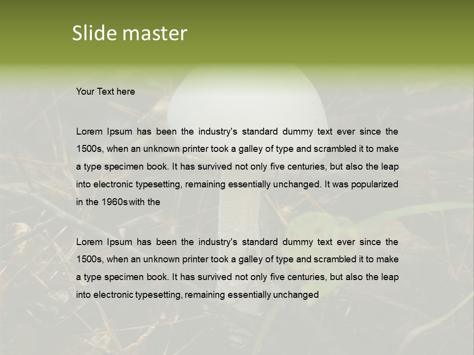 Woods Outdoors White PowerPoint Template