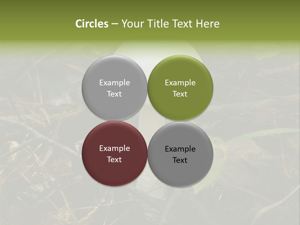 Woods Outdoors White PowerPoint Template