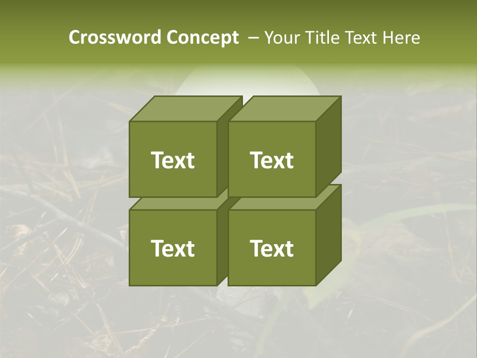 Woods Outdoors White PowerPoint Template
