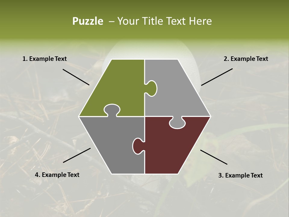 Woods Outdoors White PowerPoint Template