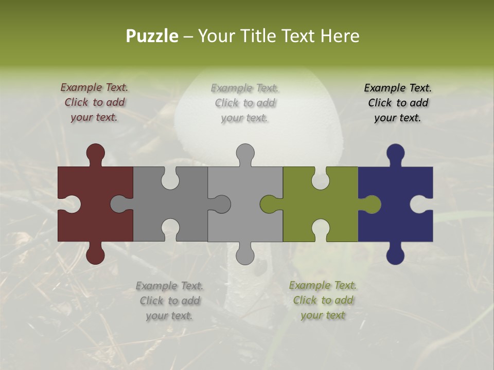 Woods Outdoors White PowerPoint Template