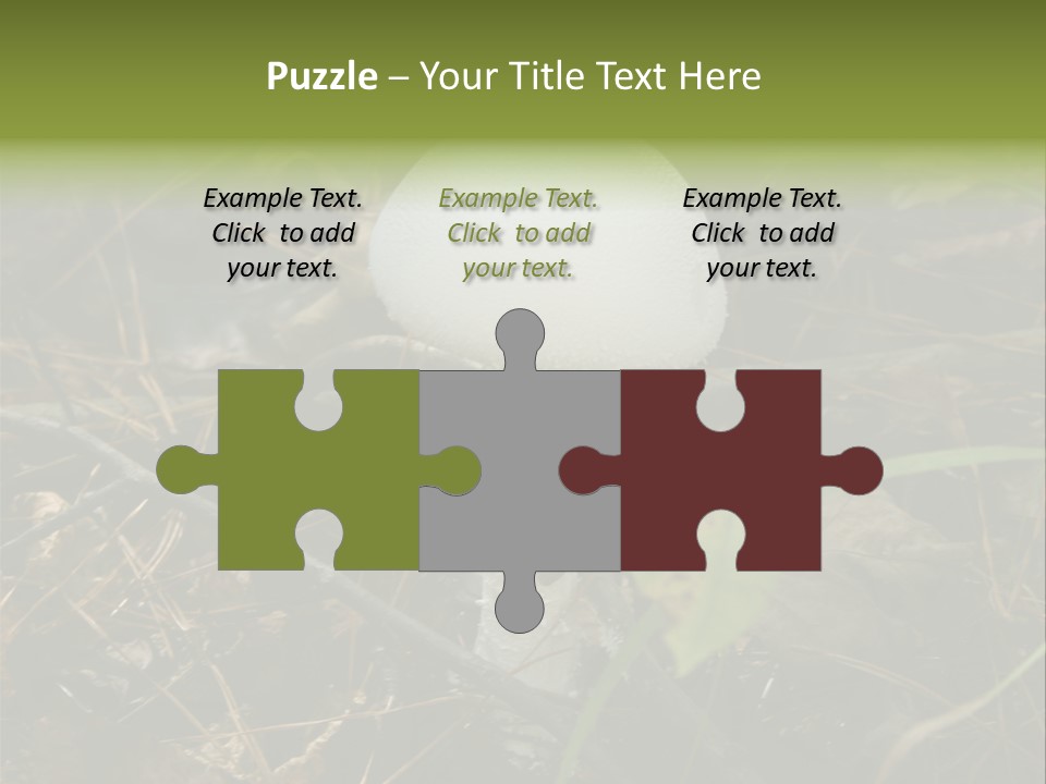 Woods Outdoors White PowerPoint Template