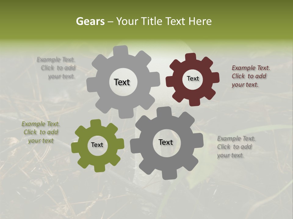 Woods Outdoors White PowerPoint Template