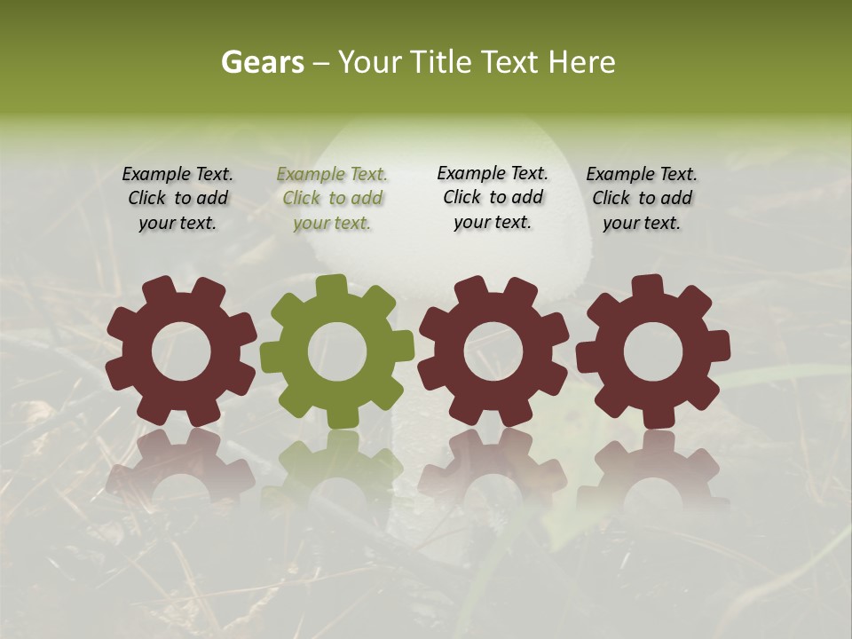 Woods Outdoors White PowerPoint Template