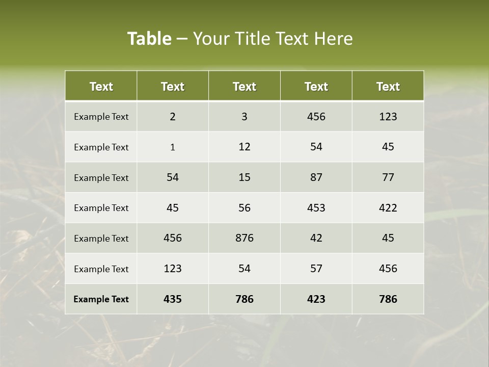 Woods Outdoors White PowerPoint Template